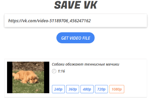 vk online video downloader